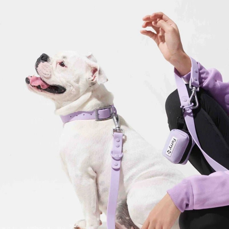 Furry & Co Bold Harness, Collar and Leash for Dogs Combo (Lilac)
