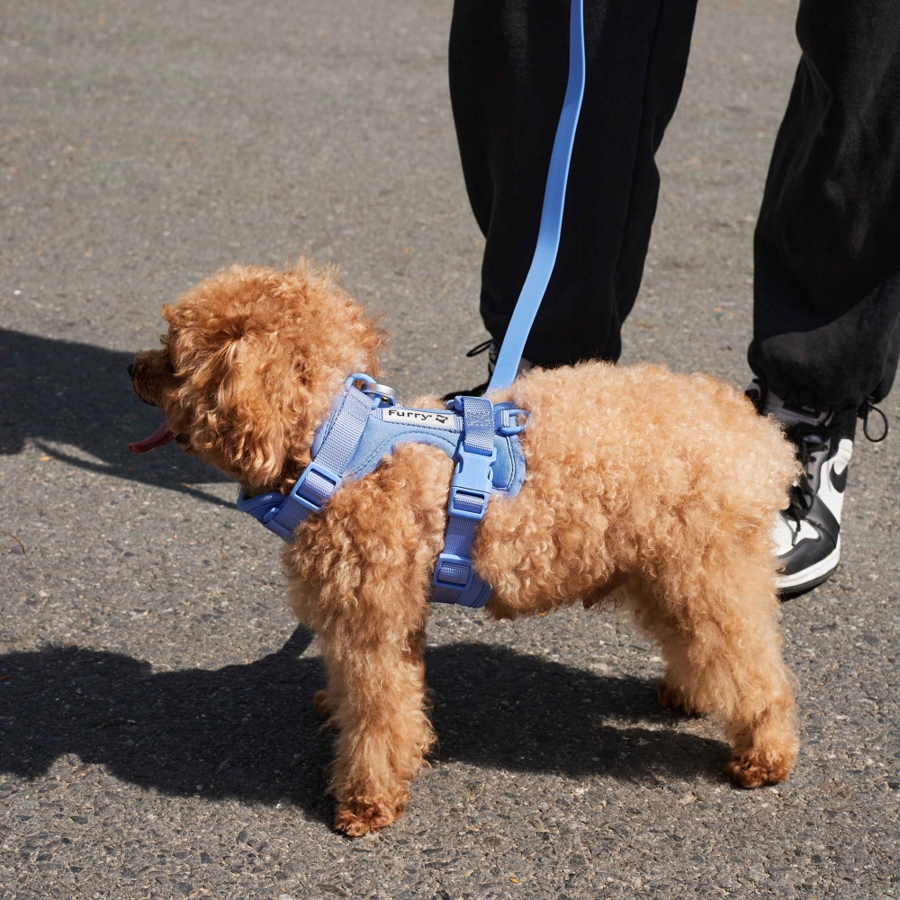 Furry & Co Bold Harness for Dogs (Everest Blue)