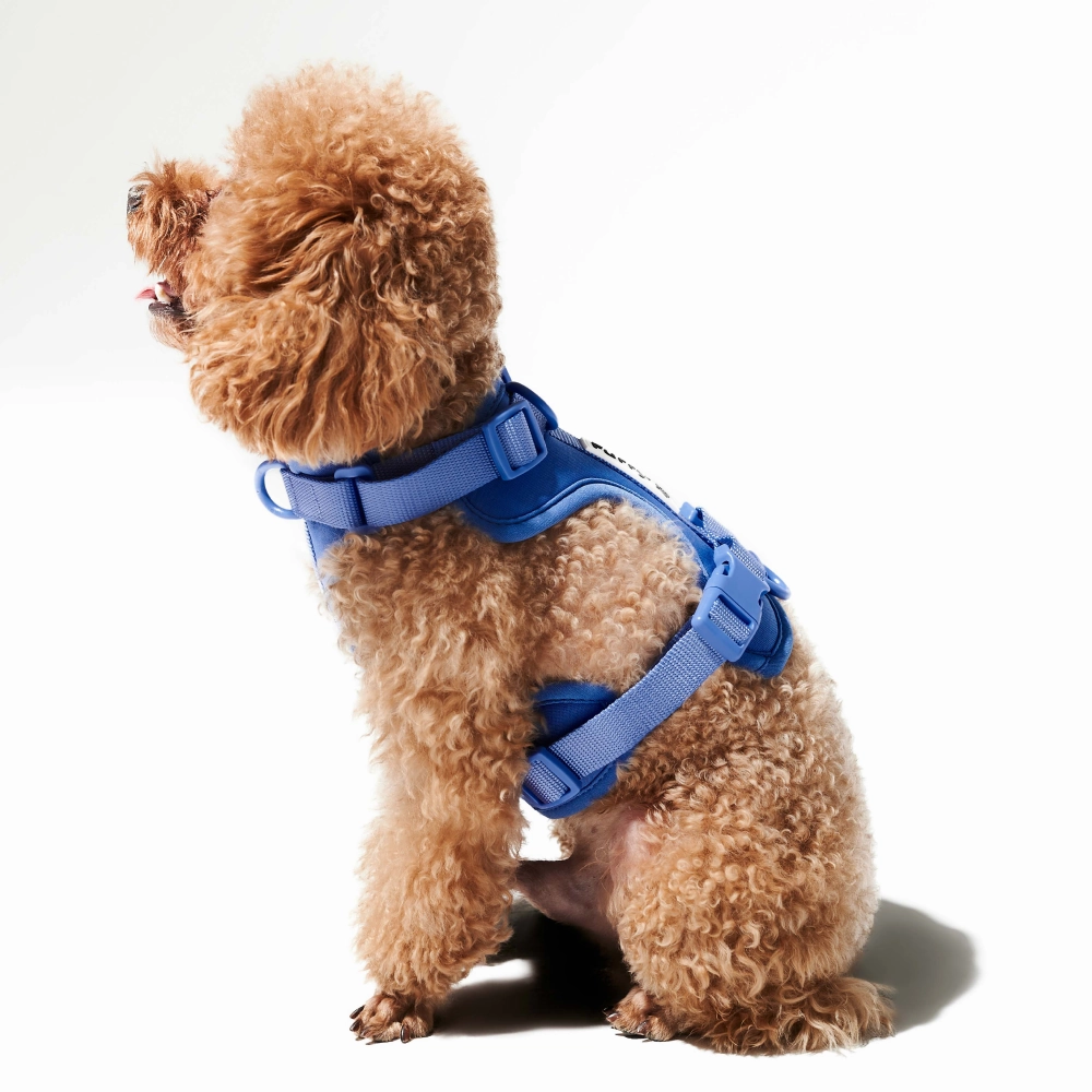 Furry & Co Bold Harness for Dogs (Everest Blue)