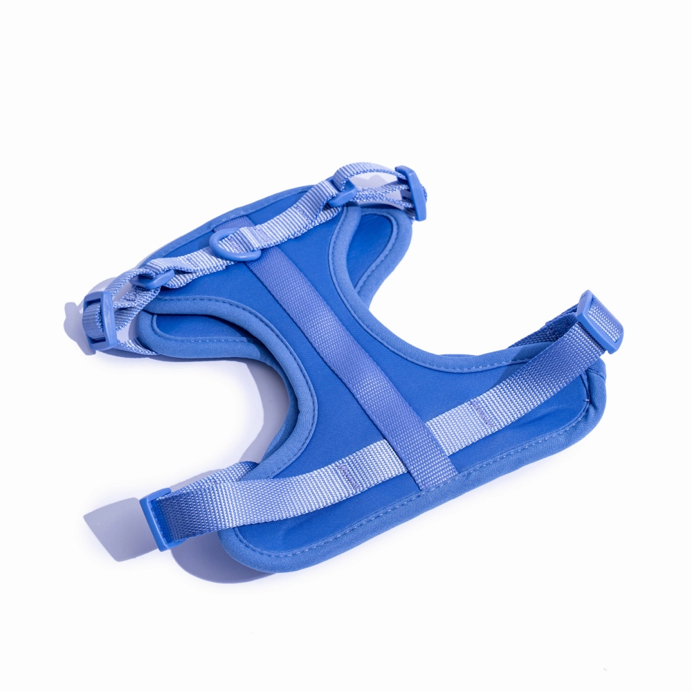 Furry & Co Bold Harness for Dogs (Everest Blue)