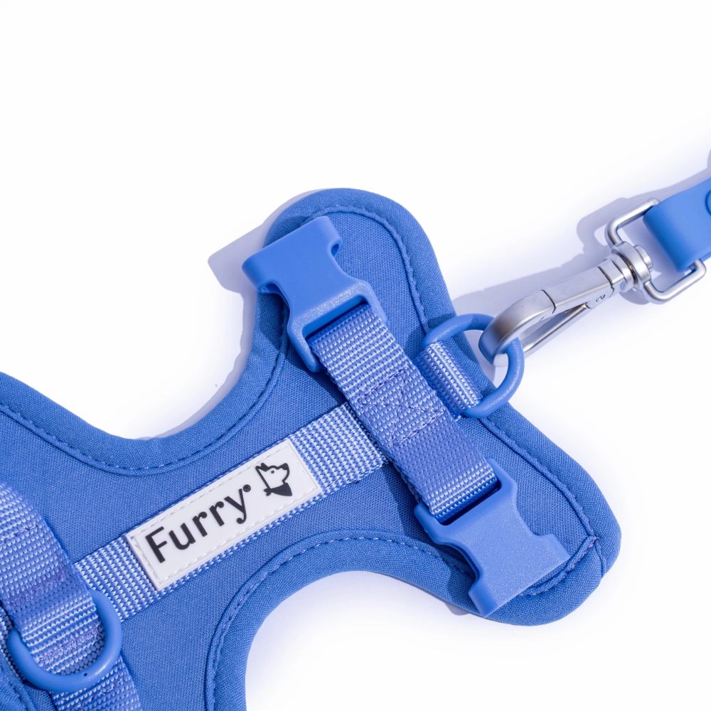Furry & Co Bold Harness for Dogs (Everest Blue)