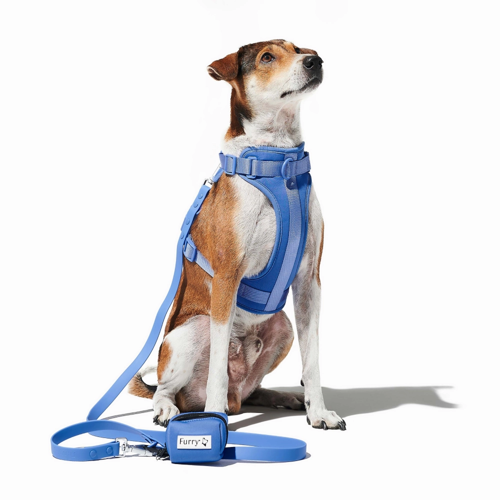 Furry & Co Bold Harness for Dogs (Everest Blue)