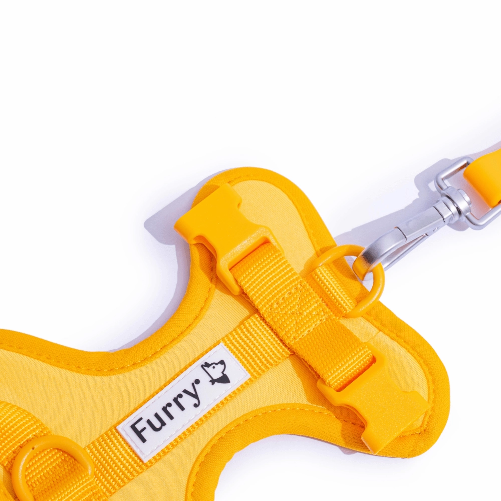 Furry & Co Bold Harness for Dogs (Mango)