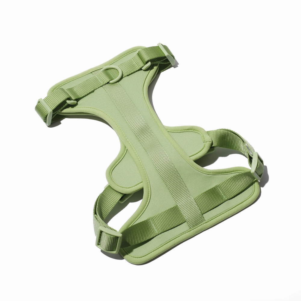 Furry & Co Bold Harness for Dogs (Matcha Latte)