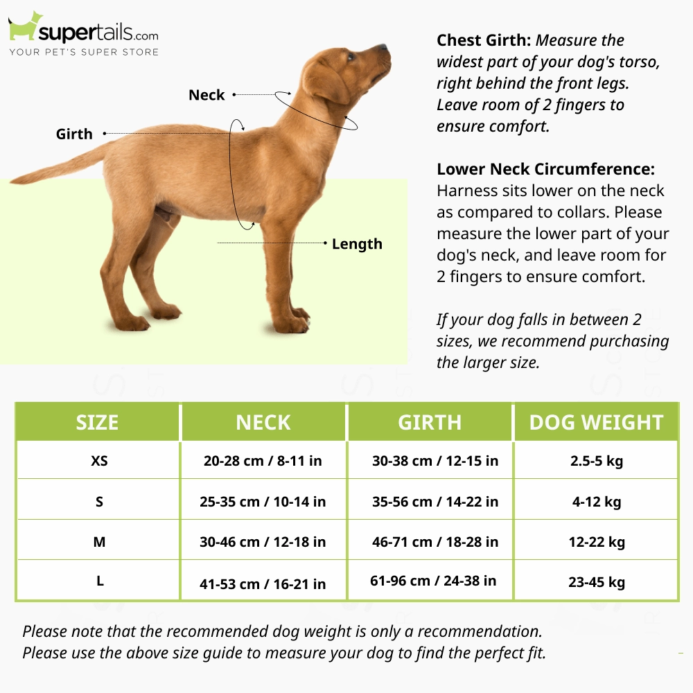 Furry & Co Bold Harness for Dogs (Matcha Latte)