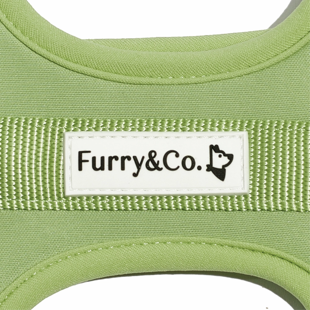 Furry & Co Bold Harness for Dogs (Matcha Latte)