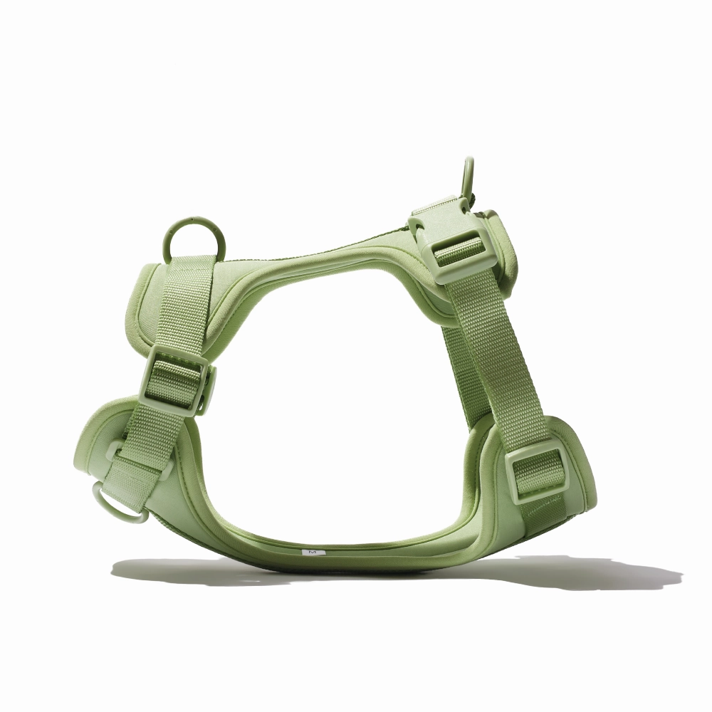Furry & Co Bold Harness for Dogs (Matcha Latte)