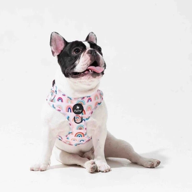 Furry & Co Raining Rainbow No Pull Harness for Dogs