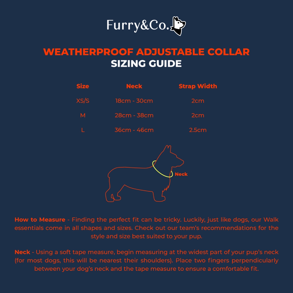 Furry & Co Weatherproof Collar for Dogs (Everest Blue)