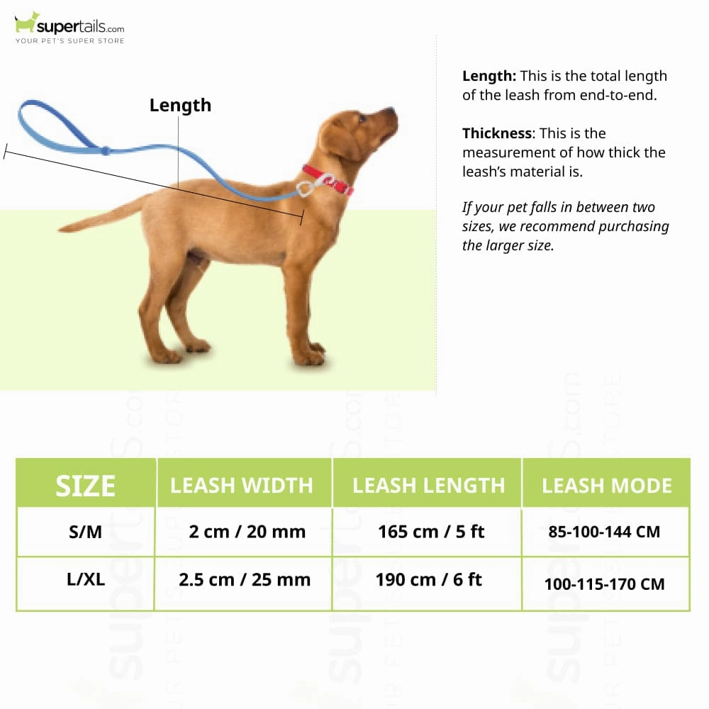 Furry & Co Weatherproof Leash for Dogs (Matcha Latte)