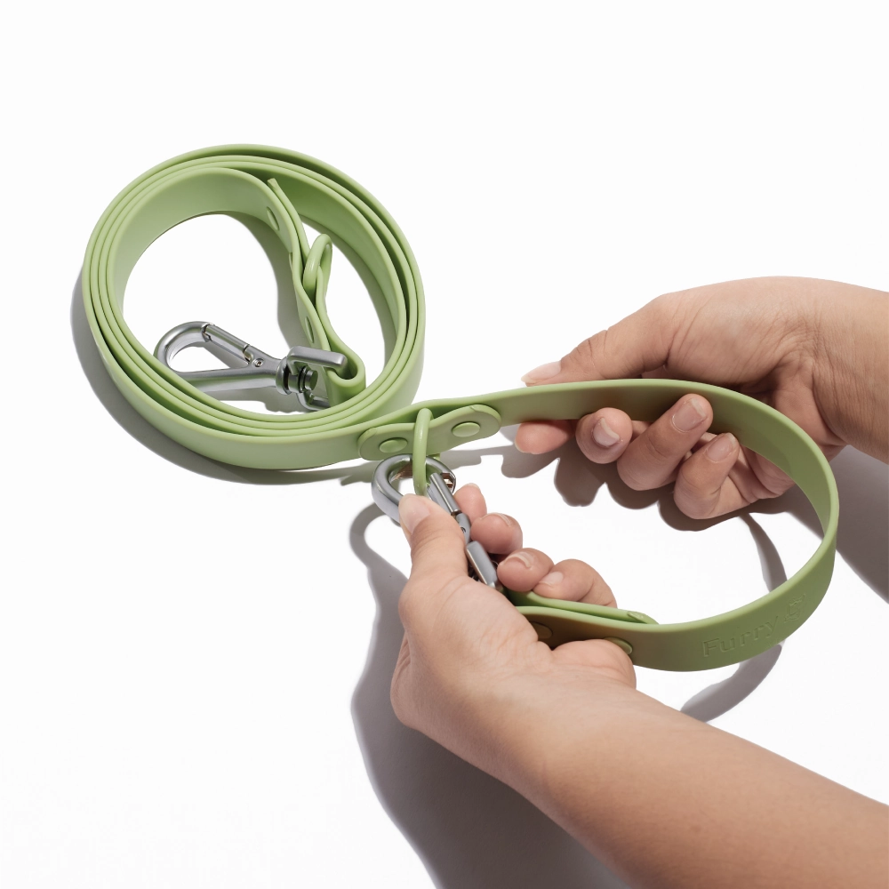 Furry & Co Weatherproof Leash for Dogs (Matcha Latte)