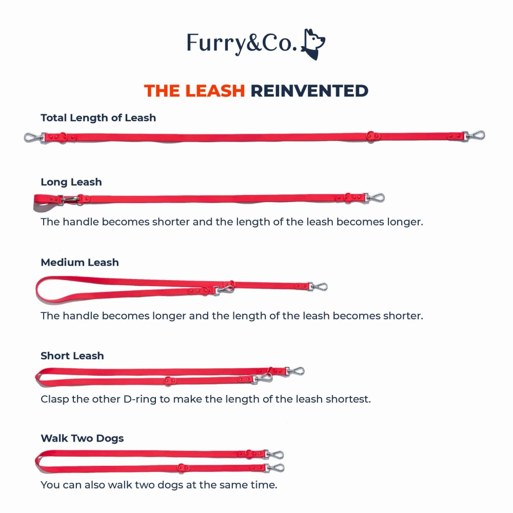 Furry & Co Weatherproof Leash for Dogs (Matcha Latte)