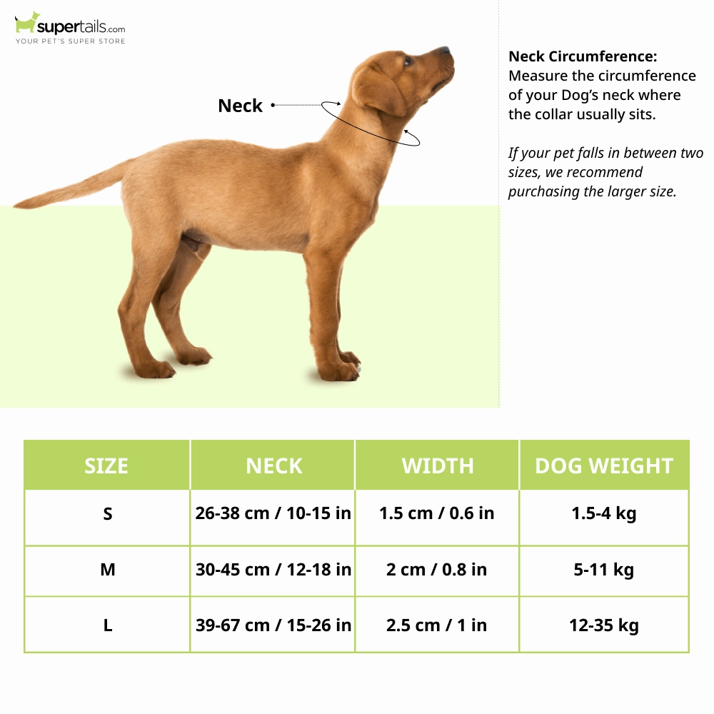 Furry & Co Wild One Comfort Collar for Dogs