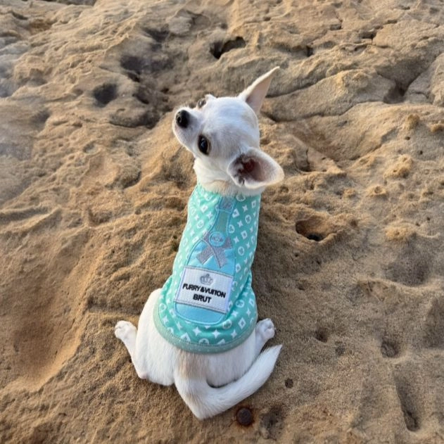 Furry Vuiton Champagne Mint Bubbles Dog Tank