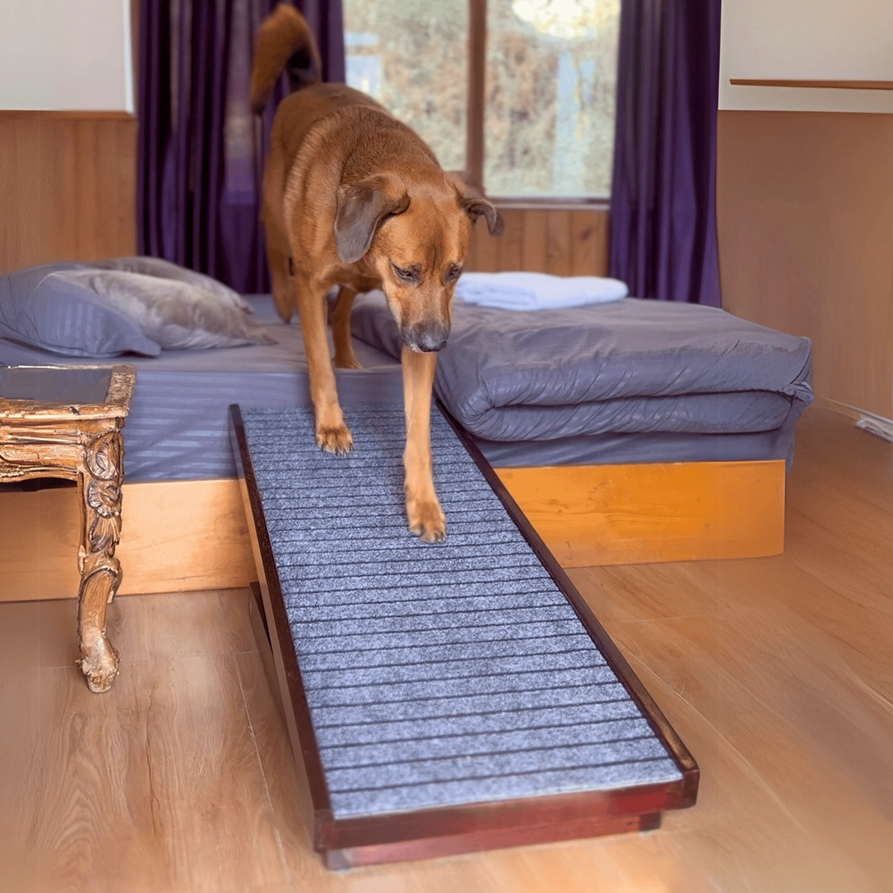 FurryLiving Wooden Ramp with Safety Rails for Dogs and Cats (Dark Brown)