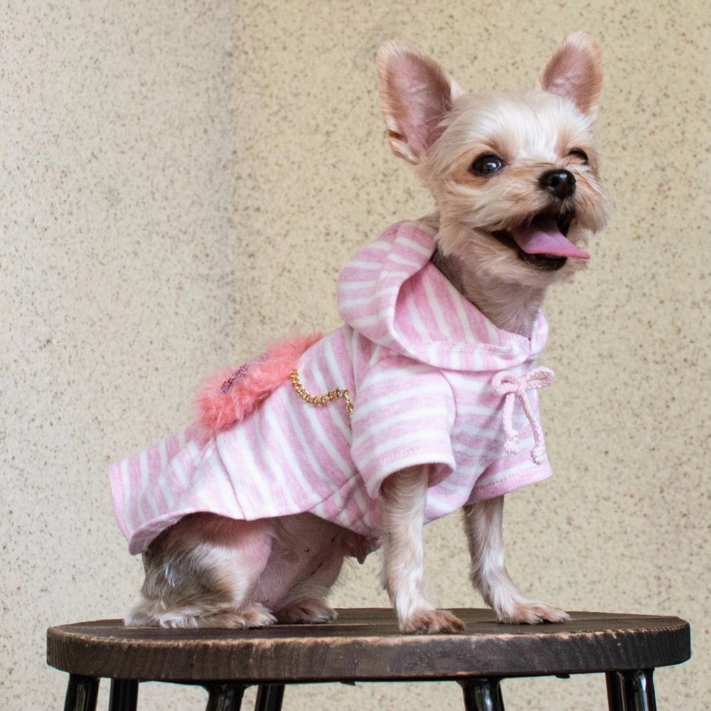 Fuzzy Purse Hooded Dog Dress
