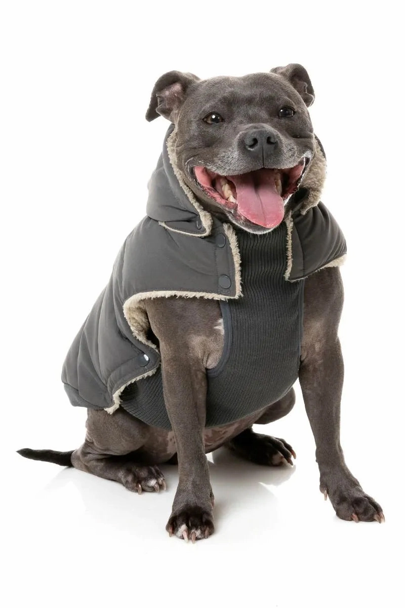 FuzzYard Charcoal Puffer Dog Jacket