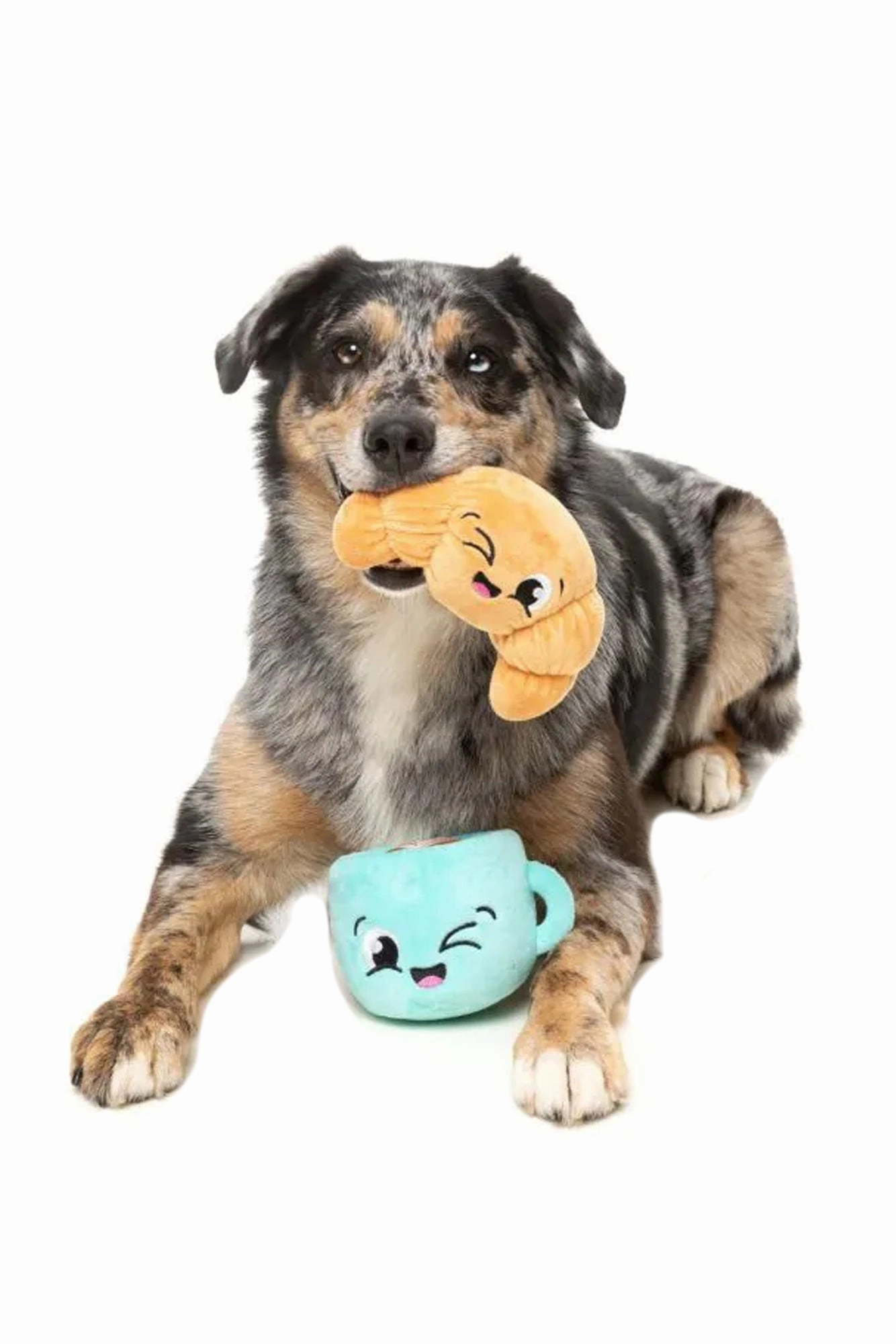 FuzzYard Croissant and Cappuccino Plush Dog Toy