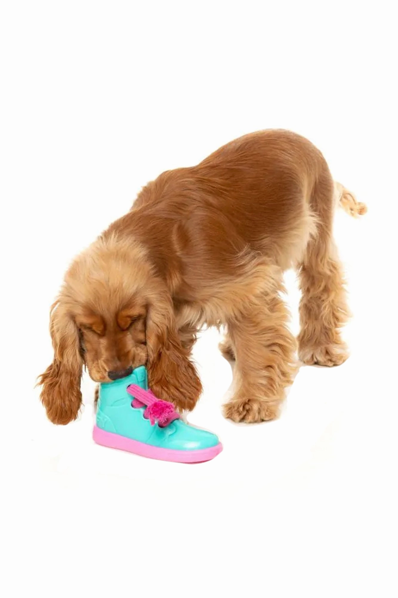FuzzYard Fresh Kicks N' Licks Plush Dog Toy