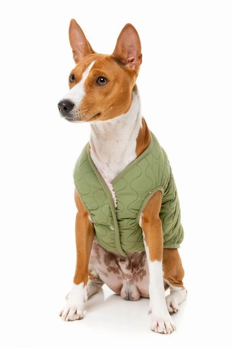 FuzzYard Pink Nara Dog Jacket