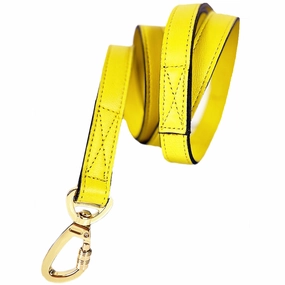Galaxy Collection Dog Leash Canary Yellow