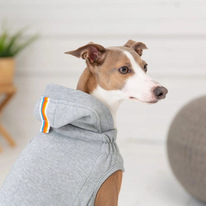 GF Pet Urban Hoodie - Heather Grey for Dogs