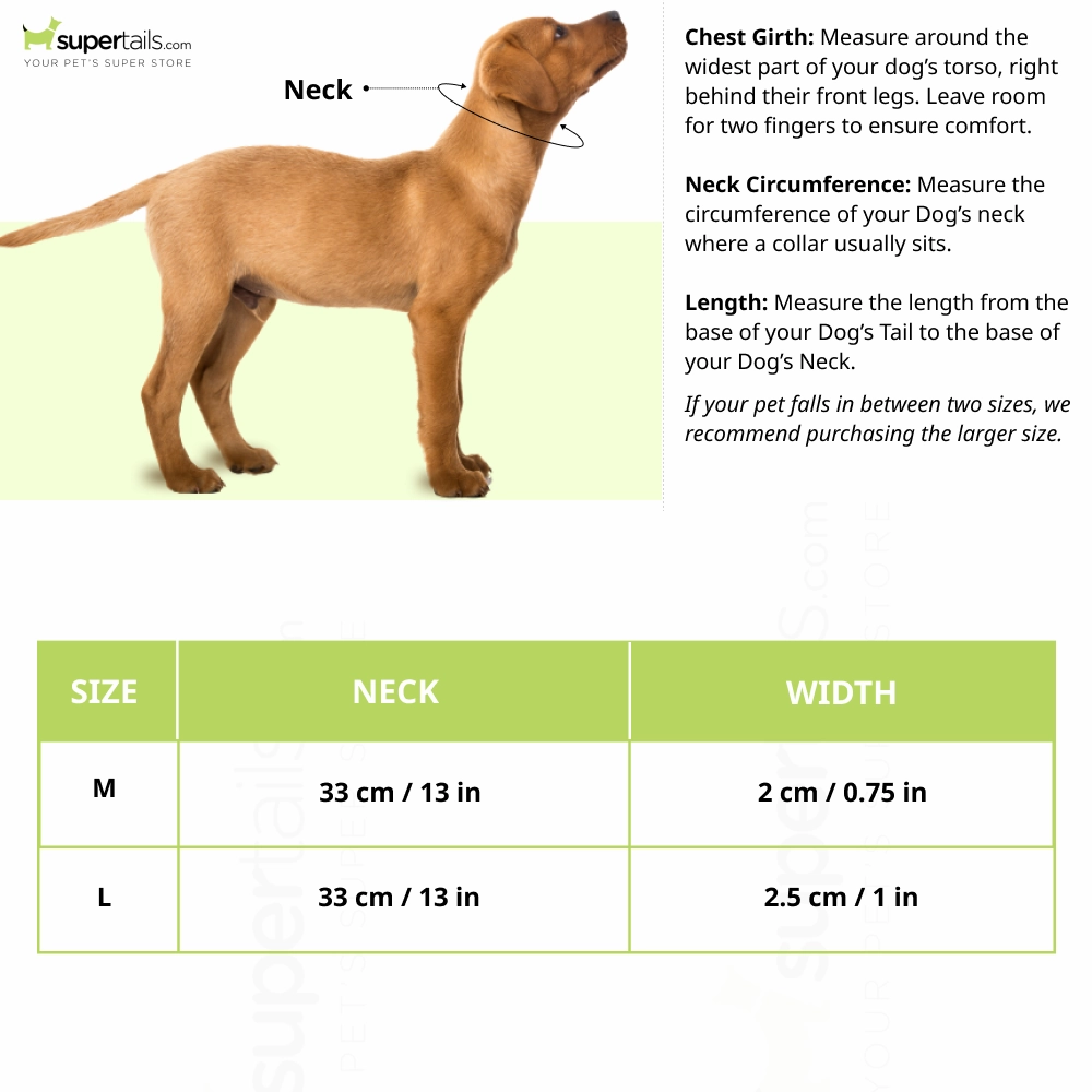 Glenand Padded Collar for Dogs (Blue)