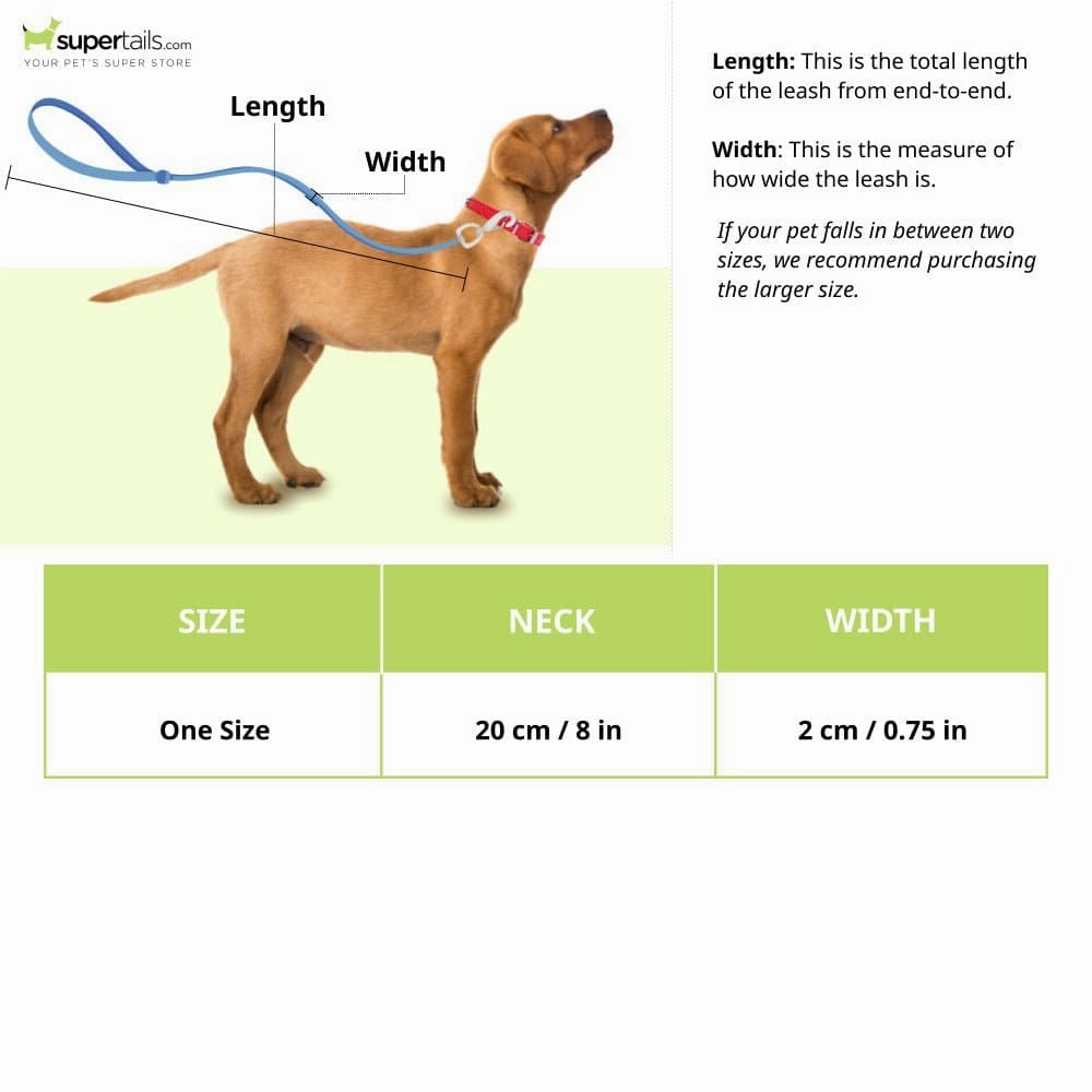 Glenand Petz Pure Nylon Padded Collar for Dogs (Dark Blue,3/4 inches)