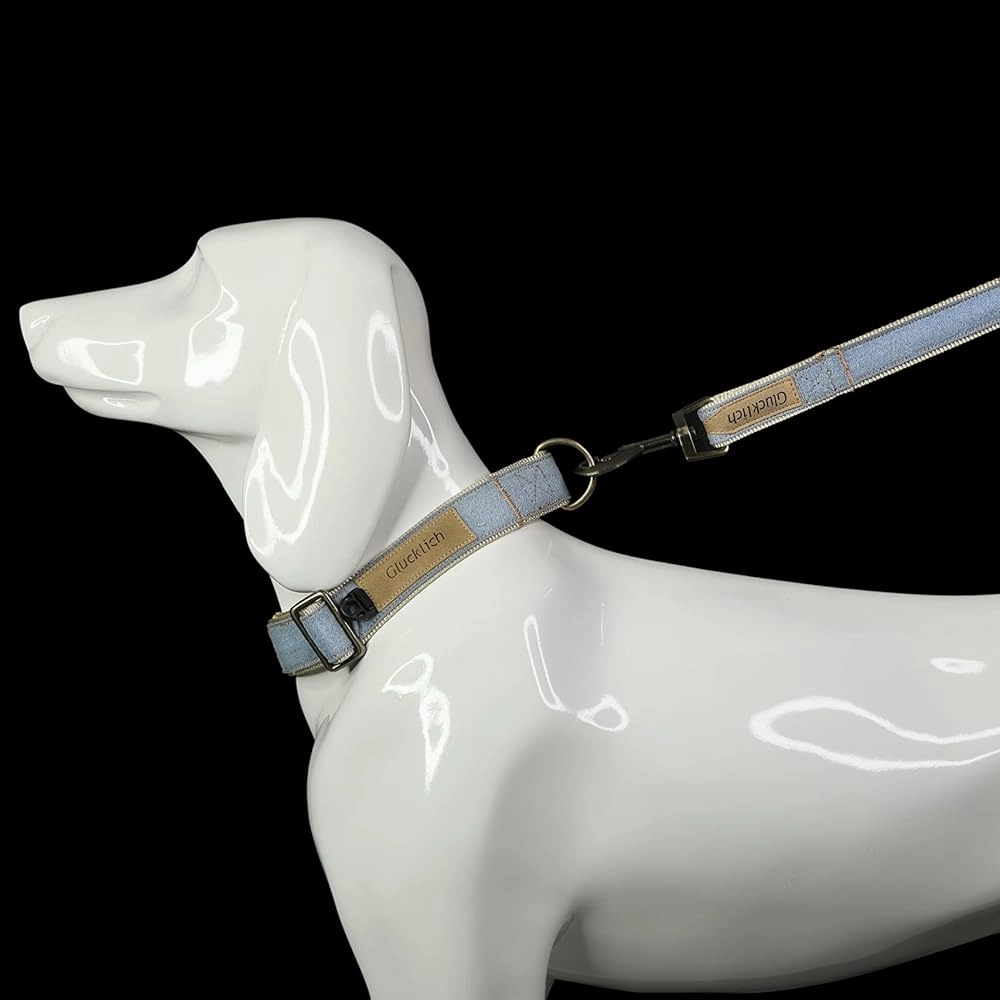 Glucklich Heavy Duty Printed Leash for Dogs (Light Blue)