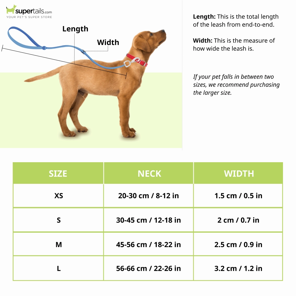 Glucklich Polyester Printed Adjustable Collar for Dogs (Berlin)