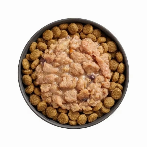 Go! Solutions Booster Immune Health Minced Chicken with Gravy Dog Food Topper