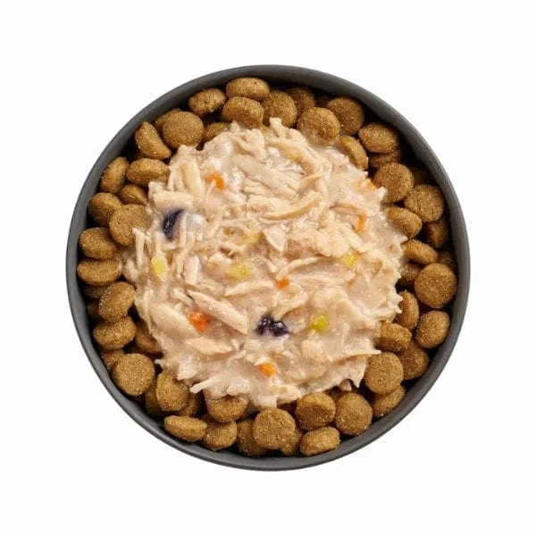 Go! Solutions Booster Immune Health Shredded Chicken   Salmon in Bone Broth Dog Food Topper