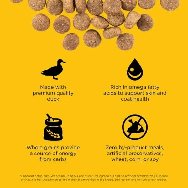 Go! Solutions Skin & Coat Care Duck Recipe with Grains Dry Dog Food