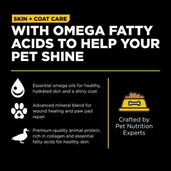 Go! Solutions Skin & Coat Care Duck Recipe with Grains Dry Dog Food