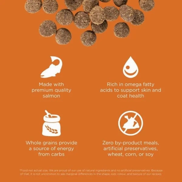 Go! Solutions Skin & Coat Care Salmon Recipe with Grains Dry Dog Food