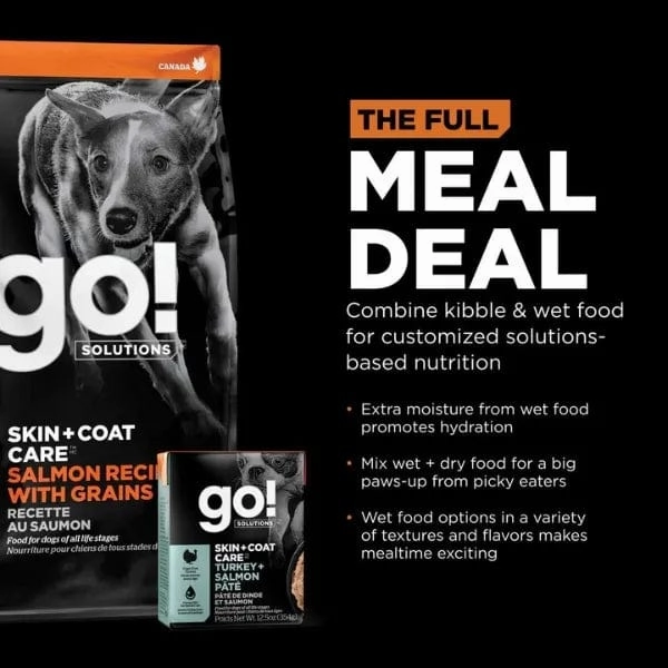 Go! Solutions Skin & Coat Care Salmon Recipe with Grains Dry Dog Food