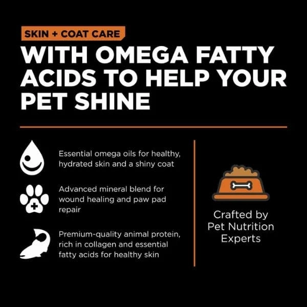 Go! Solutions Skin & Coat Care Salmon Recipe with Grains Dry Dog Food