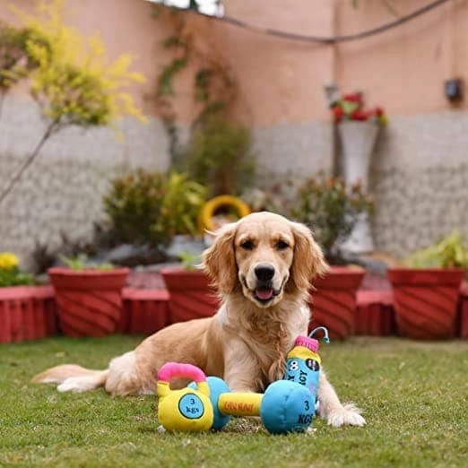 Goofy Tails Gym Series Kettlebell Plush Toy for Dogs | For Soft Chewers (Yellow)