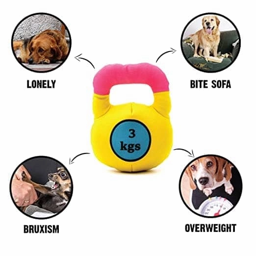 Goofy Tails Gym Series Kettlebell Plush Toy for Dogs | For Soft Chewers (Yellow)