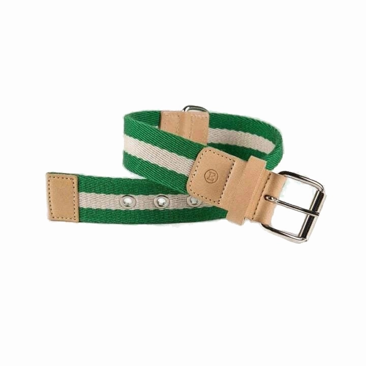 Green And Cream Tape Medium Dog Collar