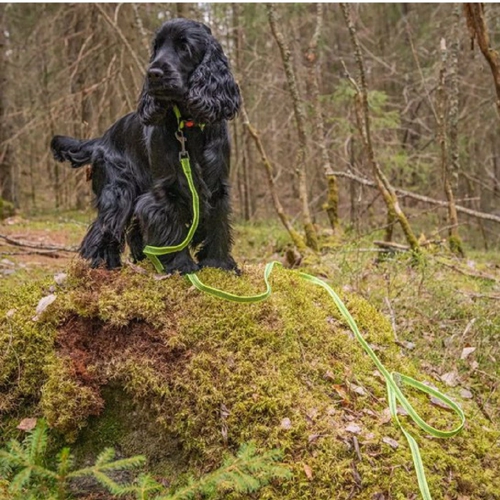 Grip Dog Tracking Leash