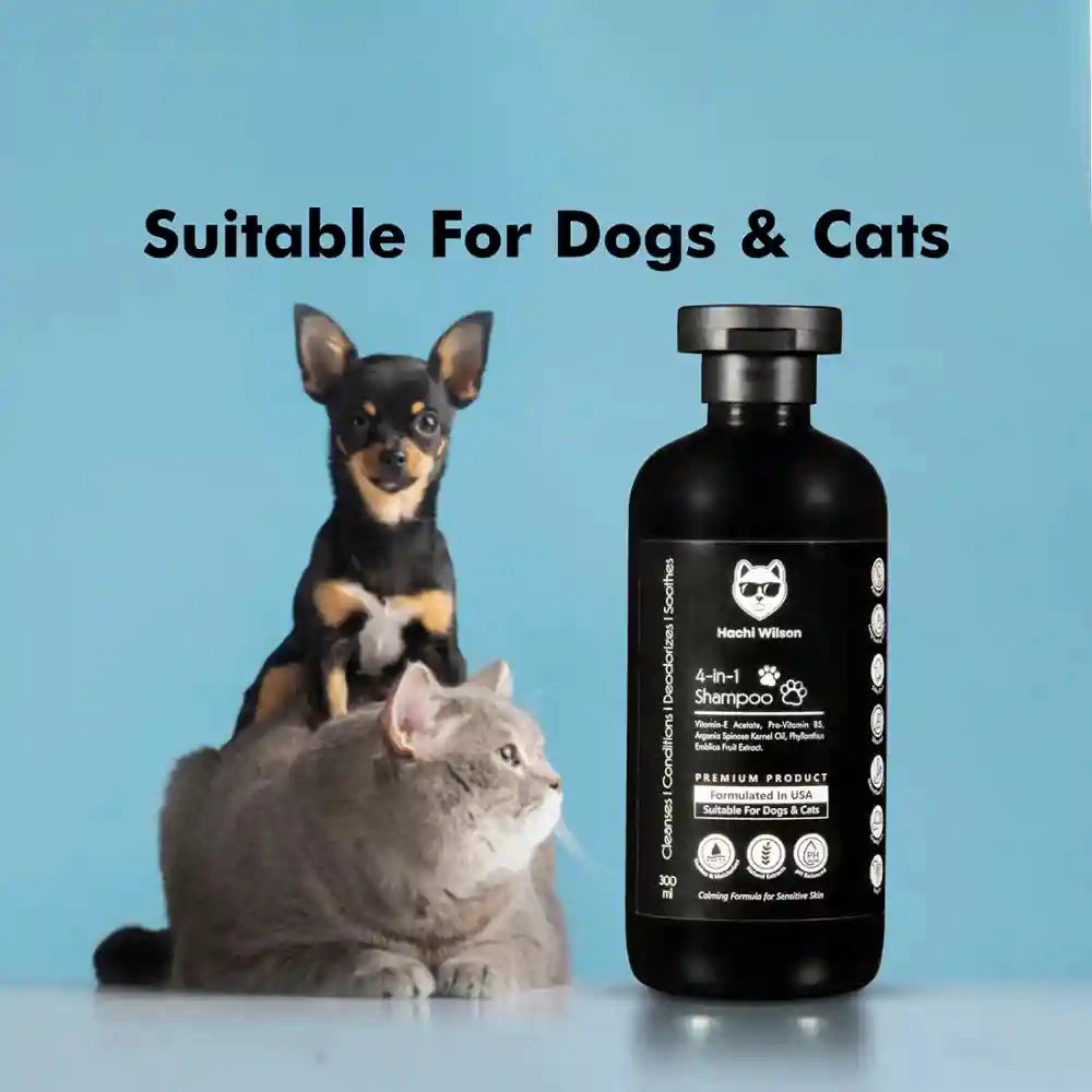 Hachi Wilson Premium 4 in 1 Shampoo for Dogs and Cats