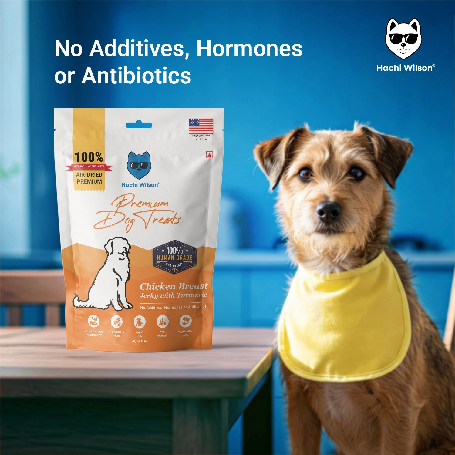 Hachi Wilson Premium Chicken Breast with Turmeric Jerky Dog Treat