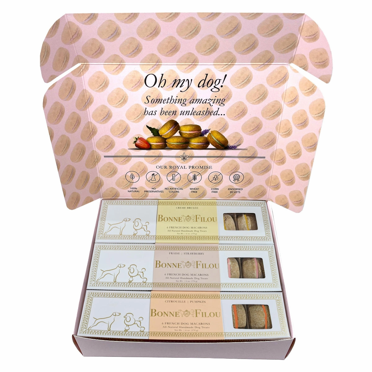 Handmade Macarons Combo Boxed Dog Treats