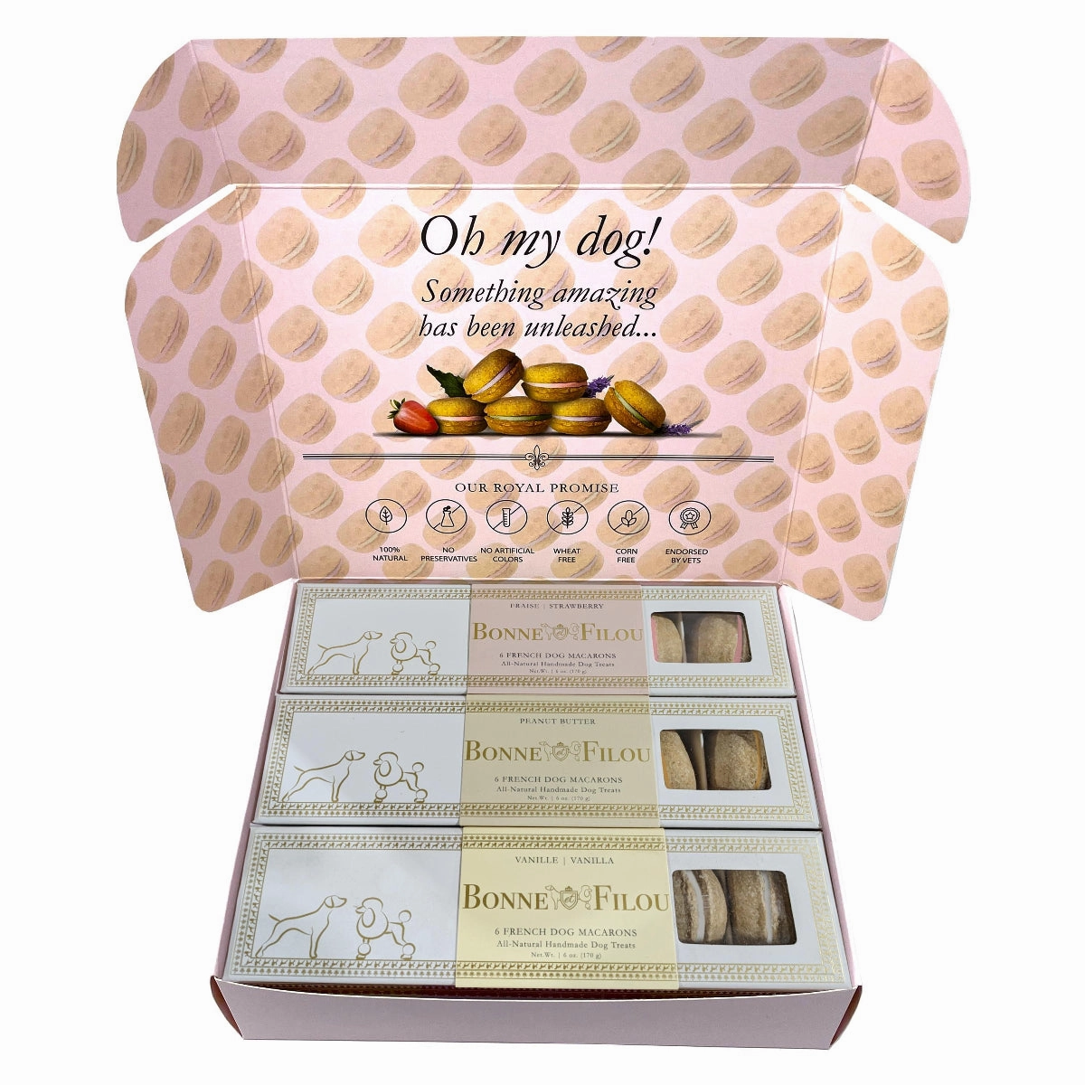 Handmade Macarons Combo Boxed Dog Treats