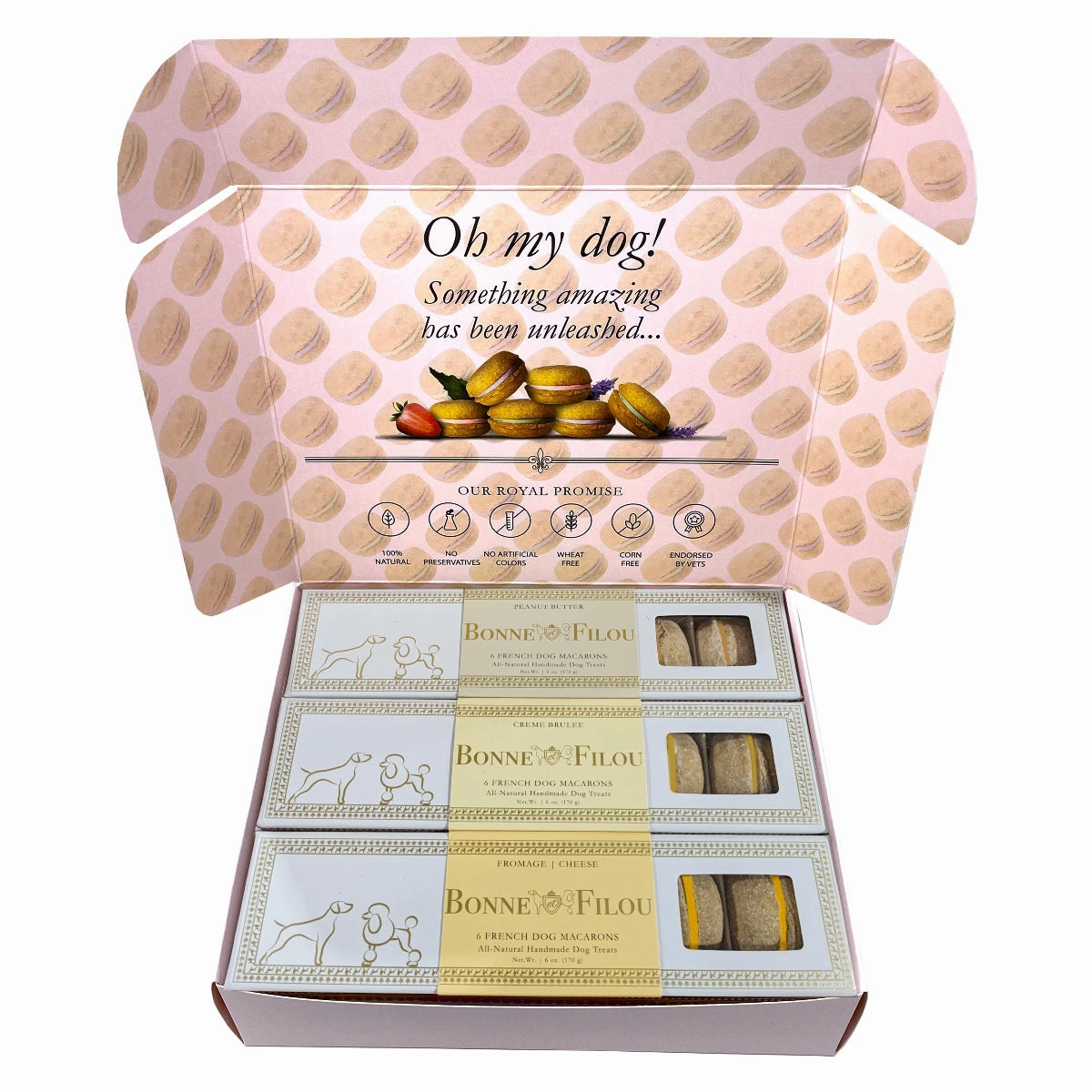 Handmade Macarons Combo Boxed Dog Treats