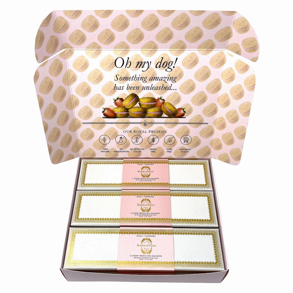 Handmade Macarons Combo Boxed Dog Treats