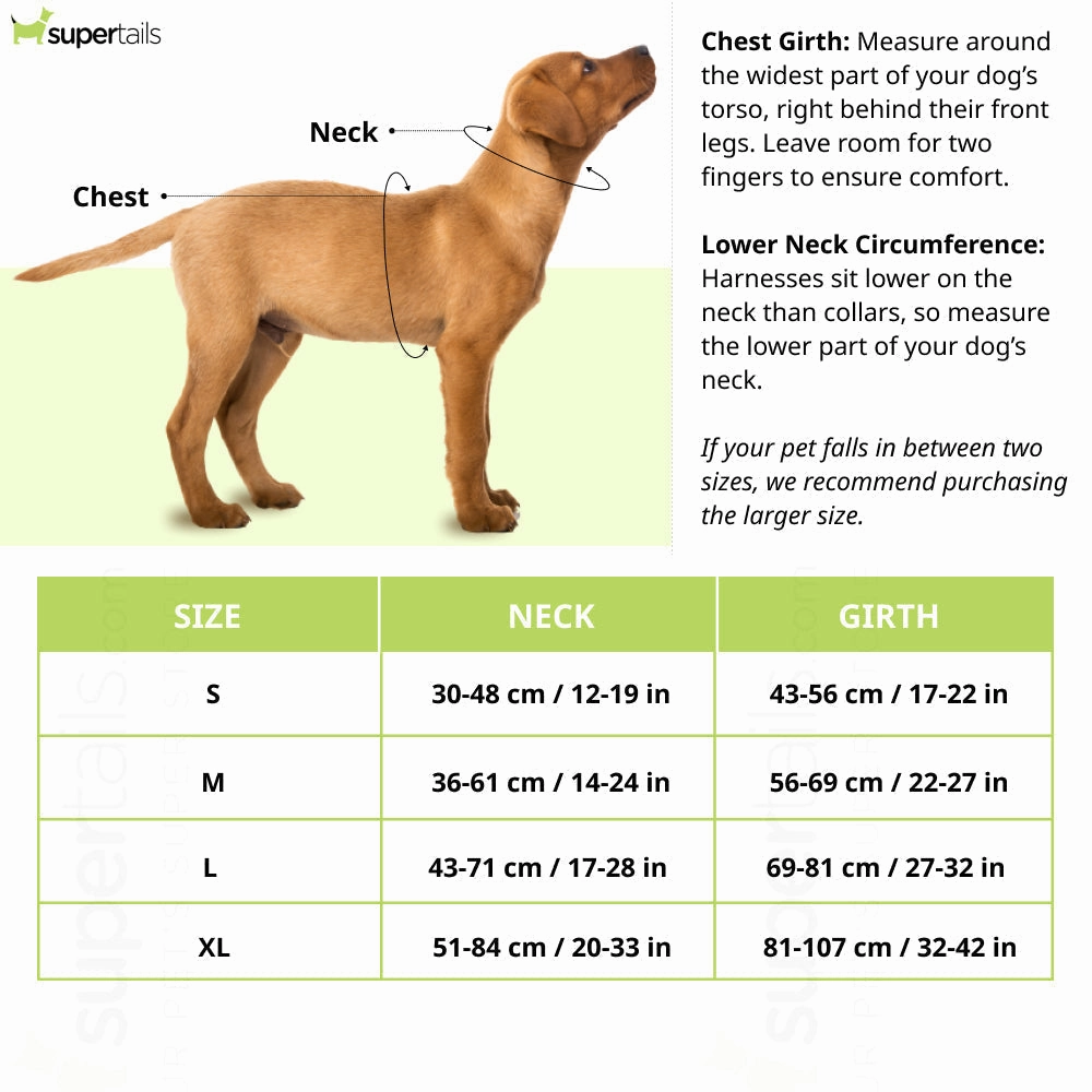 Hank 3M Reflective Harness for Puller Dogs (Grey/Neon Green)