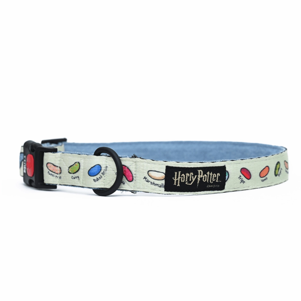 Harry Potter Every Flavour Bean Collar for Dogs