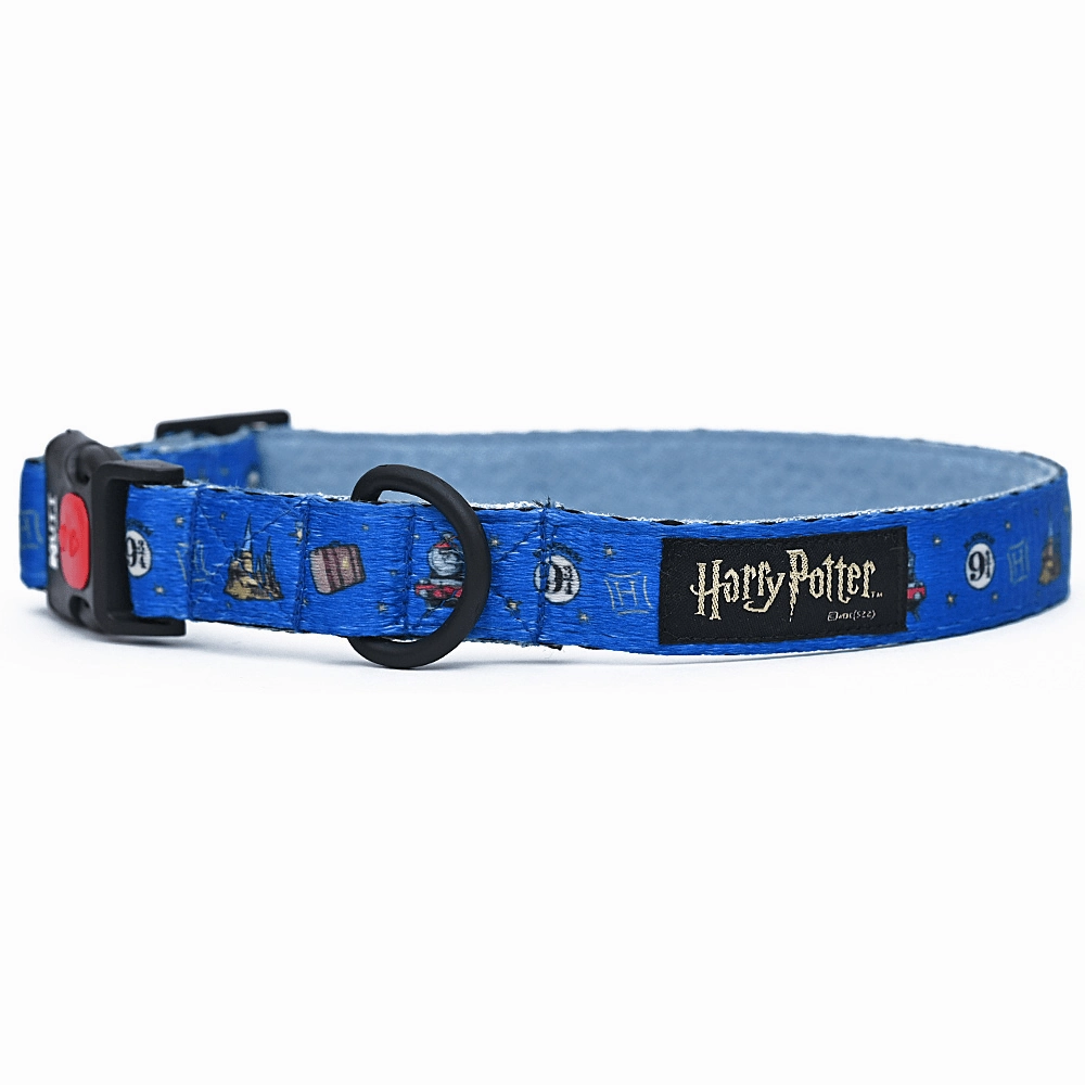Harry Potter Welcome To Hogwarts Collar for Dogs
